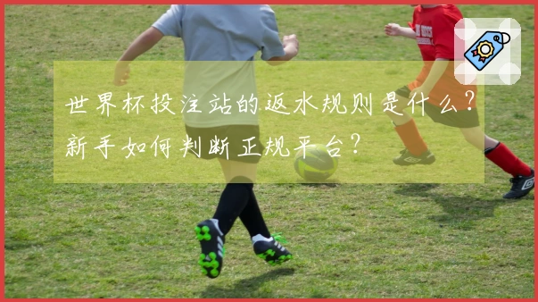 世界杯投注站的返水规则是什么？新手如何判断正规平台？