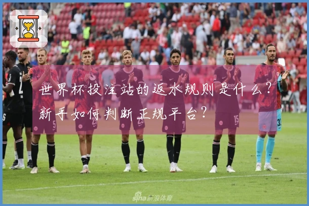 世界杯投注站的返水规则是什么？新手如何判断正规平台？
