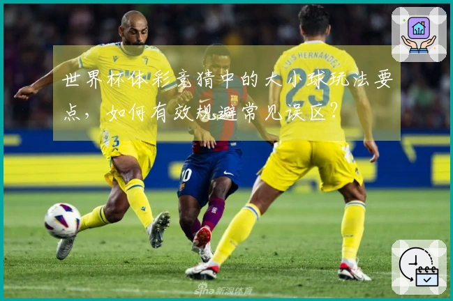 世界杯体彩竞猜中的大小球玩法要点，如何有效规避常见误区？
